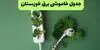 برنامه قطعی برق خوزستان فردا سه شنبه ۱۷ شهریور اعلام شد + لینک قطعی برق