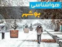 پیش بینی وضعیت آب و هوا بوشهر فردا چهارشنبه ۲۲ اسفند ماه ۱۴۰۳ | هواشناسی بوشهر طی ۲۴ ساعت آینده + آب و هوای بوشهر 