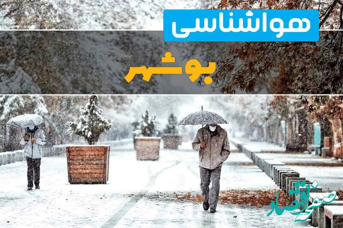 وضعیت آب و هوا بوشهر فردا یکشنبه ۱۲ اسفند ۱۴۰۳ | پیش بینی هواشناسی بوشهر طی ۲۴ ساعت آینده + آب و هوای بوشهر