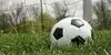 ستاره تیم ملی مصدوم شد