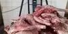 کشف لاشه ۲ گراز وحشی در خودروی سواری در دیواندره