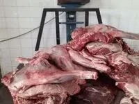 کشف لاشه ۲ گراز وحشی در خودروی سواری در دیواندره