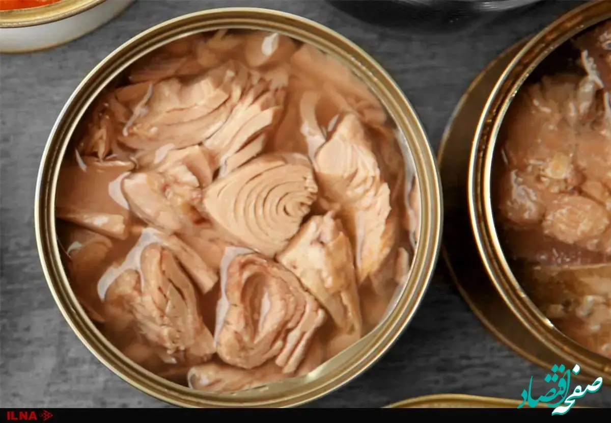 دلیل افزایش چندباره قیمت تن ماهی چیست؟