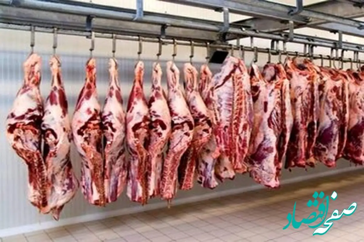 قیمت گوشت قرمز در نیمه دوم ۱۴۰۳ یک میلیون تومان می شود؟