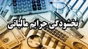 تمدید یک‌ساله بخشودگی ۱۰۰ درصدی جرایم مالیاتی و تعیین مهلت جدید برای مستندسازی اظهارنامه پاییز + فیلم