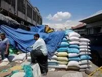 چرا برنج گران شد؟
