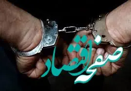 ربودن بلاگر معروف بخاطر گربه 