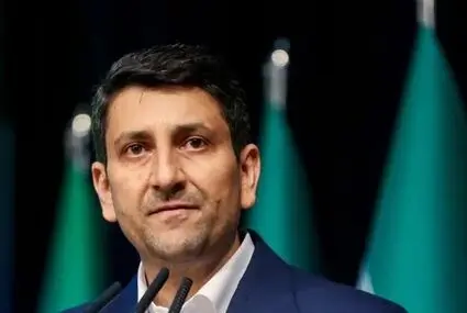 ۳۲۰۰ سامانه دولتی زیر ذره‌بین رفتند!
