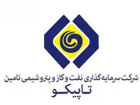چرا باید در سال جاری شاهد افت قیمت سهام و سودآوری دومین هلدینگ پتروشیمی باشیم؟