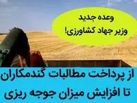 وعده جدید وزیر جهاد کشاورزی؛ از پرداخت مطالبات گندمکاران تا افزایش میزان جوجه ریزی 