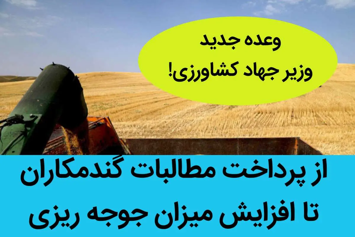 وعده جدید وزیر جهاد کشاورزی؛ از پرداخت مطالبات گندمکاران تا افزایش میزان جوجه ریزی 