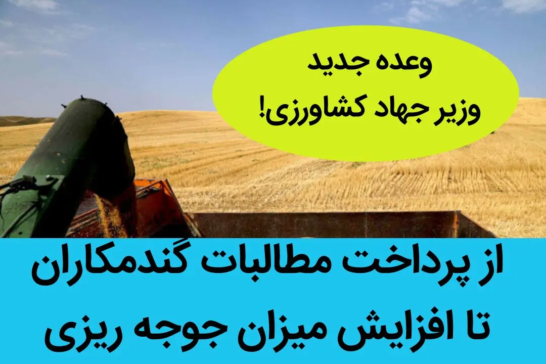 وعده جدید وزیر جهاد کشاورزی؛ از پرداخت مطالبات گندمکاران تا افزایش میزان جوجه ریزی 