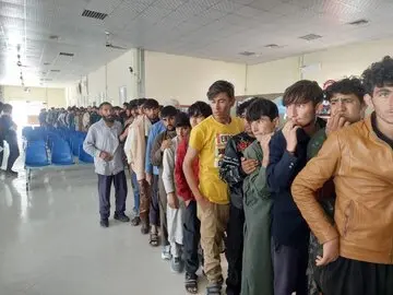 یک واکنش تند از اقدامات مشکوک امنیتی مهاجران غیرقانونی افغان در ایران جنجال به پا کرد