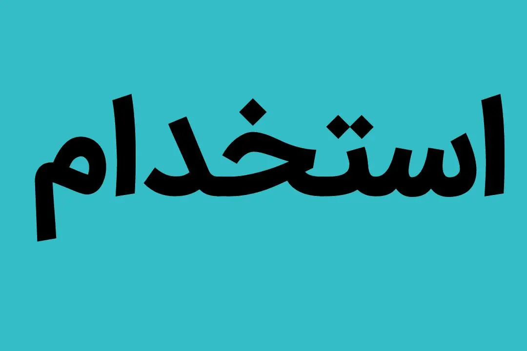 دانشجویان ۴ رشته این استان در وزارت آموزش و پرورش استخدام می شوند

