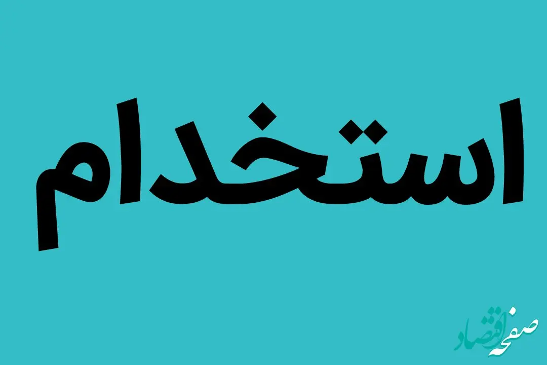 دانشجویان ۴ رشته این استان در وزارت آموزش و پرورش استخدام می شوند
