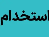 دانشجویان ۴ رشته این استان در وزارت آموزش و پرورش استخدام می شوند
