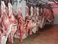 افزایش ۲۵ درصدی عرضه گوشت داخلی؛ کاهش قیمت دام سبک و پیش بینی تداوم افت قیمت گوشت گرم