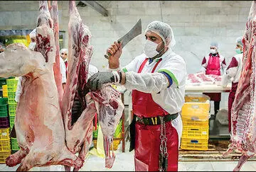 اخبار بازار | قیمت گوشت‌ های تنظیم بازاری چند؟ 
| اطلاعیه مهم وزارت جهادکشاورزی درباره قیمت گوشت

