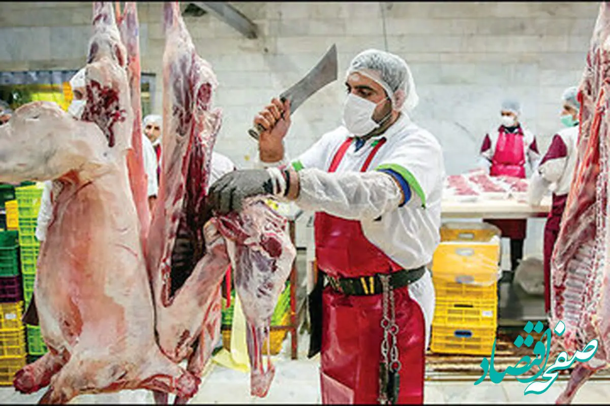 اخبار بازار | قیمت گوشت‌ های تنظیم بازاری چند؟ 
| اطلاعیه مهم وزارت جهادکشاورزی درباره قیمت گوشت
