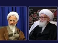 پیام مهم این ۲ مرجع تقلید برای مردم + جزئیات