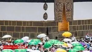 رئیس سازمان حج: افزایش هزینه حج ناشی از رشد نرخ ارز است، نه افزایش قیمت خدمات