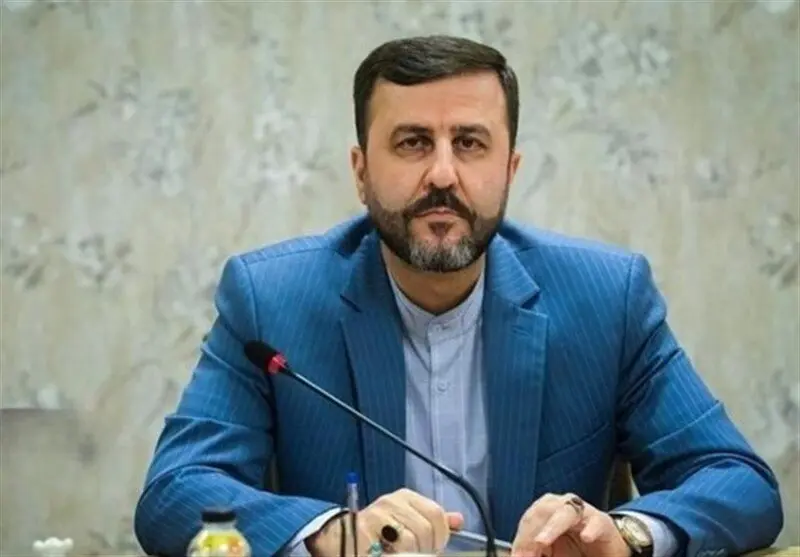 واکنش غریب‌آبادی به برگزاری نشست‌های کارگروه‌های فنی مذاکرات طی هفته جاری