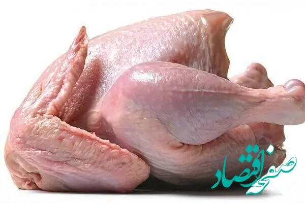 مرغ هم حسابی گران شد! | قیمت گوشت مرغ و شترمرغ امروز یکشنبه ۱۴ مرداد ۱۴۰۳