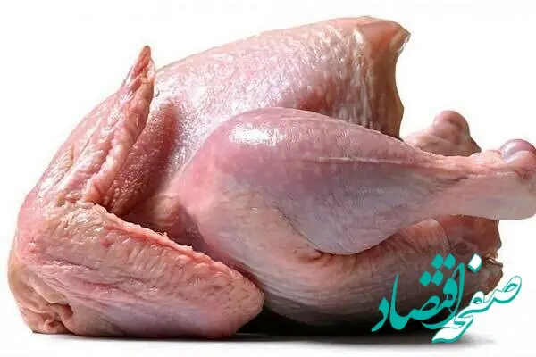 مرغ هم حسابی گران شد! | قیمت گوشت مرغ و شترمرغ امروز یکشنبه ۱۴ مرداد ۱۴۰۳