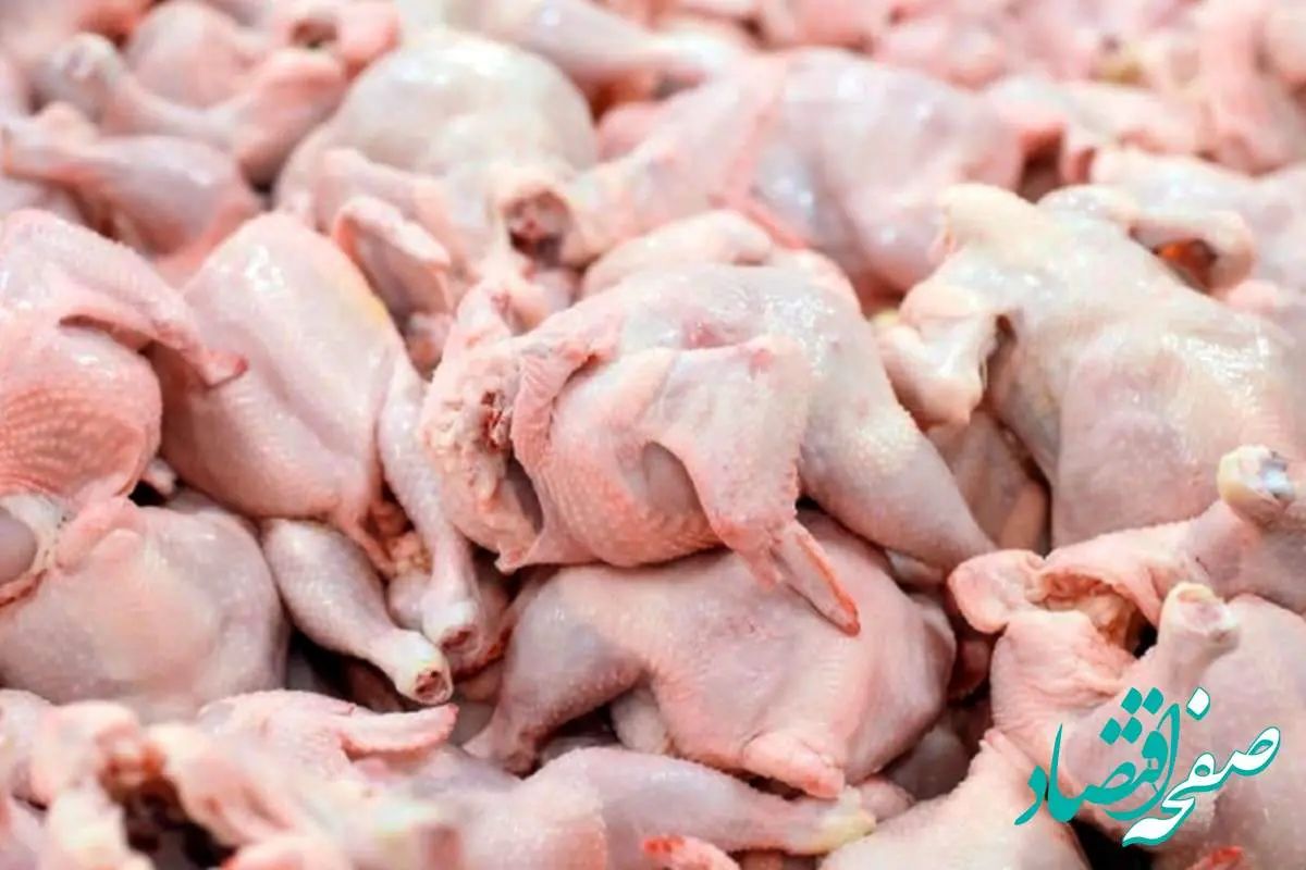 قیمت فیله مرغ | قیمت سینه مرغ | قیمت جوجه کبابی | قیمت انواع مرغ امروز یکشنبه ۱۸ خرداد ۱۴۰۴ + جدول