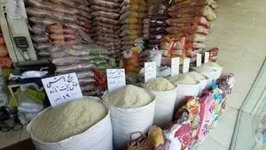 بازار برنج روی لبه نوسان / وزارت جهاد کشاورزی پشت صندلی تماشاچی