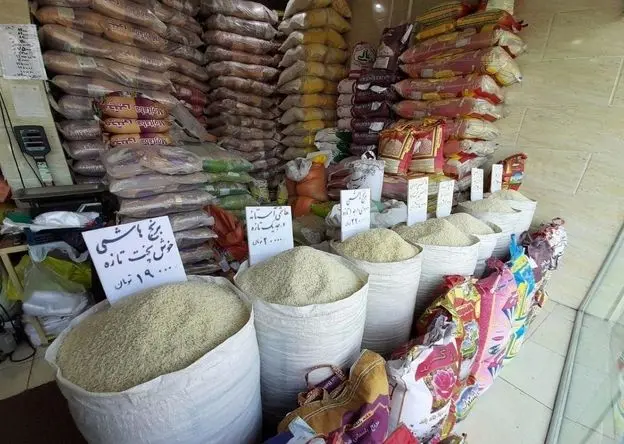 بازار برنج روی لبه نوسان / وزارت جهاد کشاورزی پشت صندلی تماشاچی