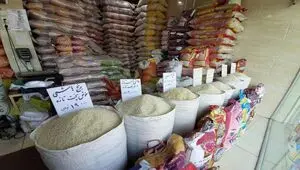 بازار برنج روی لبه نوسان / وزارت جهاد کشاورزی پشت صندلی تماشاچی