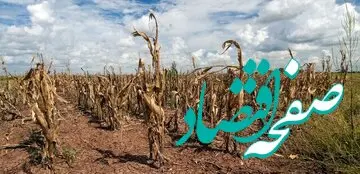 فوری / سومین سال خشک کشور پایان یافت