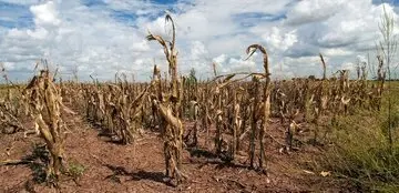 فوری / سومین سال خشک کشور پایان یافت