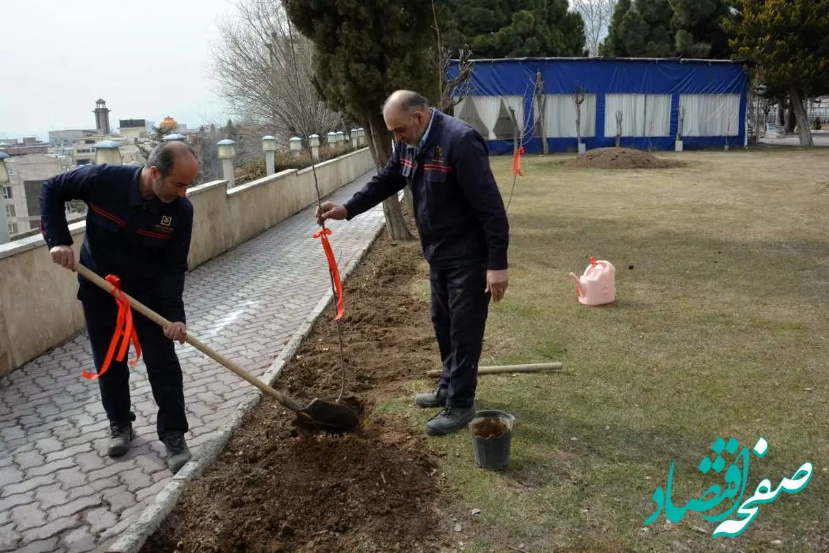 کاشت نهال در بانک صنعت و معدن به مناسبت روز درختکاری؛ گامی سبز در مسیر توسعه پایدار