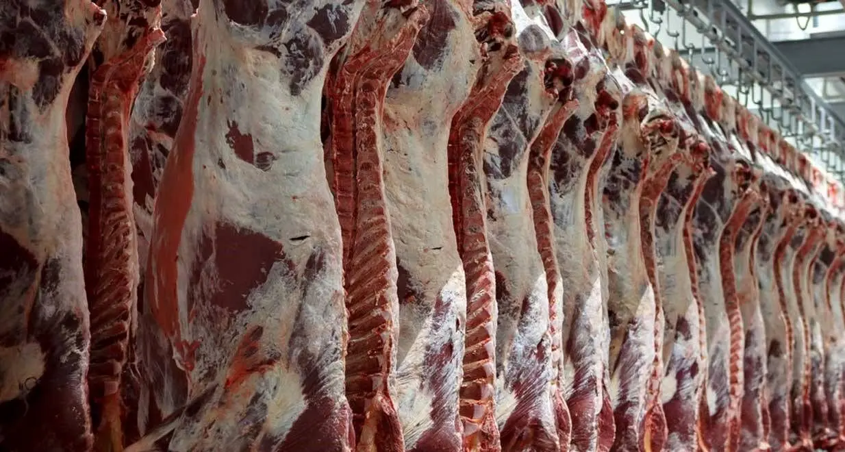 قیمت  گوشت گوسفندی امروز ۲۲ آبان ۱۴۰۲  + جدول 