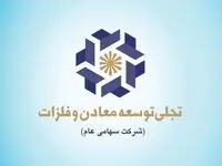 اهداف بلند مدت «تجلی» در بازار سرمایه