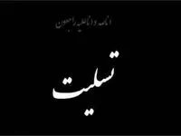 علت فوت یاسین موسی‌ خانی بوکسور ملایری چه بود؟  