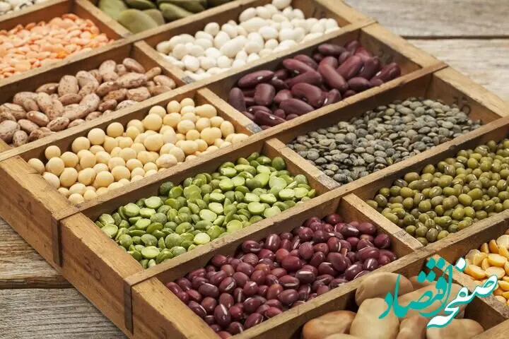 صادرات این ۲۱ محصول کشاورزی رسما آزاد شد