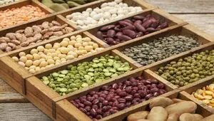 صادرات این ۲۱ محصول کشاورزی رسما آزاد شد