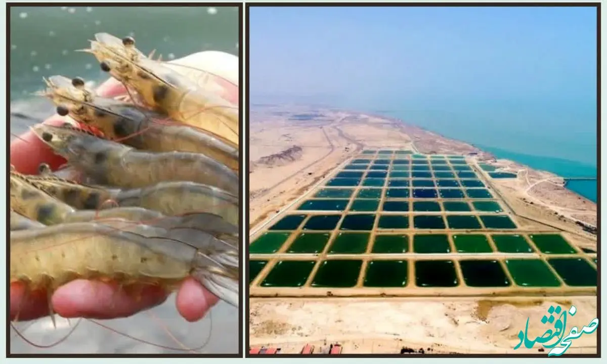 طراحی سیاست‌های کلان حوزه شیلات و کشاورزی منطقه آزاد قشم تا افق 1408