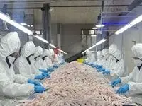 صادرات بیش از ۴۷۰ تن پای مرغ از آذربایجان شرقی به این دو کشور