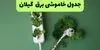 برنامه قطعی برق گیلان فردا یکشنبه ۸ شهریور اعلام شد + لینک