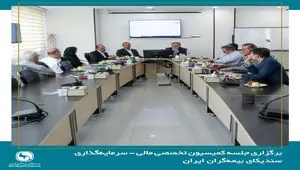 نشست کمیسیون تخصصی مالی - سرمایه‌گذاری سندیکای بیمه‌گران ایران برگزار شد