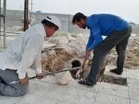 یک خبر تازه برای کارگران / کارگر نیست و گرنه کار هست