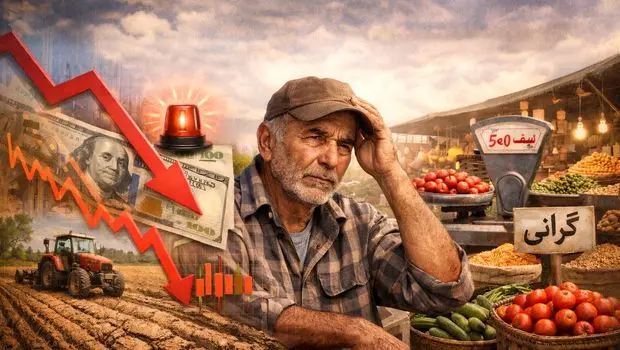 بحران ارزی در کشاورزی: زنگ خطر برای کشاورزی و بازار مواد غذایی