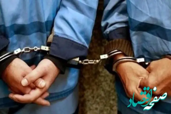 دستگیری ۱۴ نفر از عوامل عناصر وابسه به آمریکا و اسرائیل در کرمان