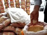کشت برنج در استان تهران متوقف شد