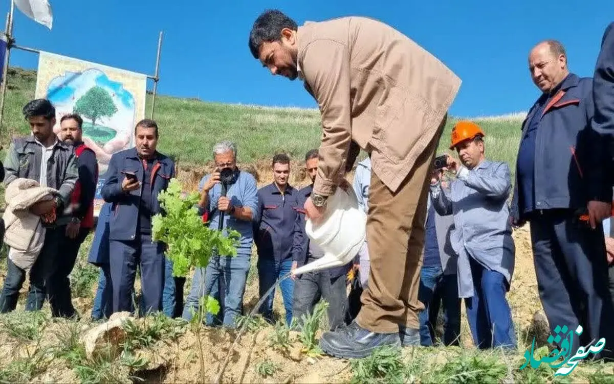 عملیات جنگل‌کاری 400 هکتاری مس سونگون در ارسباران آغاز شد

