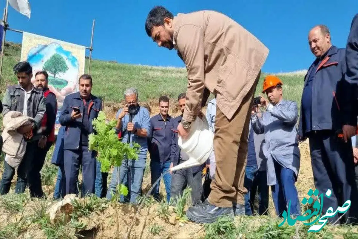 عملیات جنگل‌کاری 400 هکتاری مس سونگون در ارسباران آغاز شد

